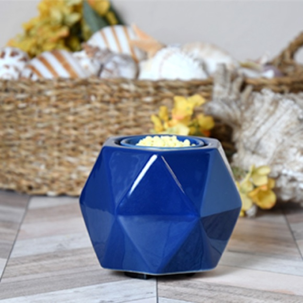 Pink Zebra Navy Hexagon Simmer Pot